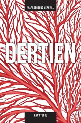 Afbeeldingen van DERTIEN