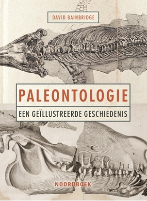 Afbeeldingen van Paleontologie