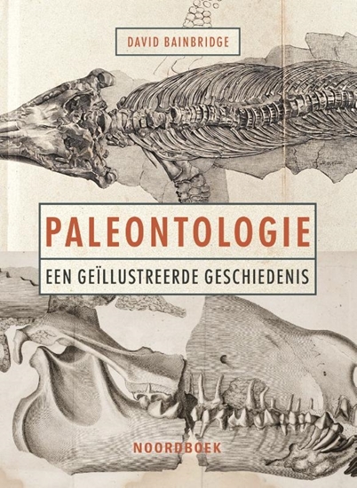 Afbeelding van Paleontologie