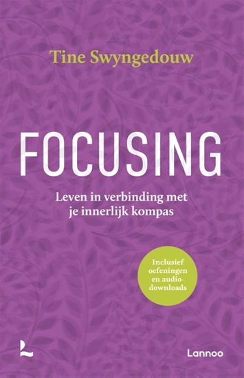Afbeelding van Focusing