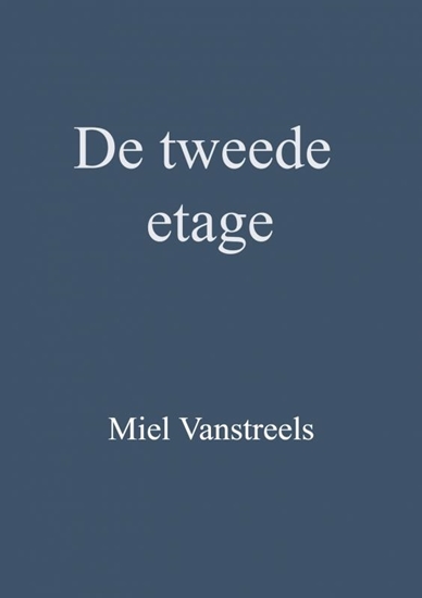 Afbeelding van De tweede etage