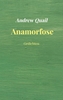 Afbeelding van Anamorfose