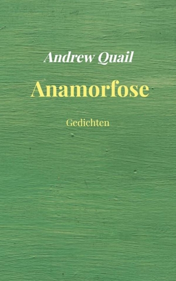 Afbeelding van Anamorfose