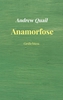 Afbeelding van Anamorfose