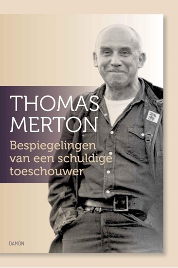 Afbeelding van Bespiegelingen van een schuldige toeschouwer