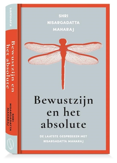 Afbeelding van Bewustzijn en het absolute