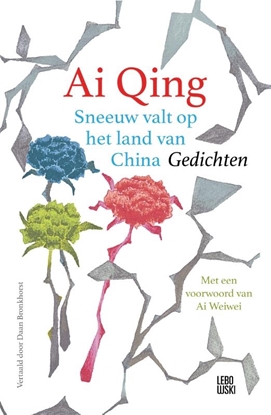 Afbeeldingen van Sneeuw valt op het land van China