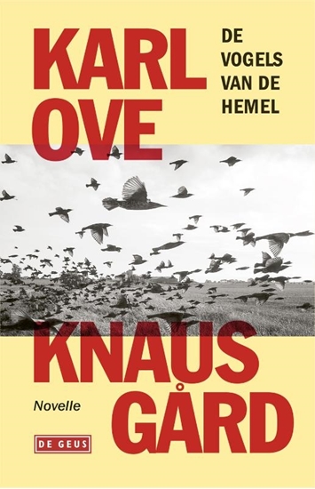 Afbeelding van De vogels van de hemel