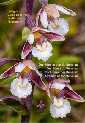 Afbeeldingen van Orchideeën van de Benelux