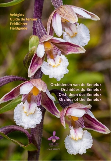 Afbeelding van Orchideeën van de Benelux