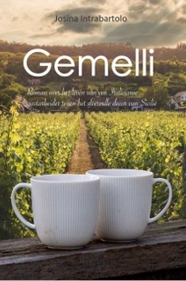 Afbeelding van Gemelli