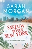 Afbeelding van De Manhattan-serie Sneeuw boven New York