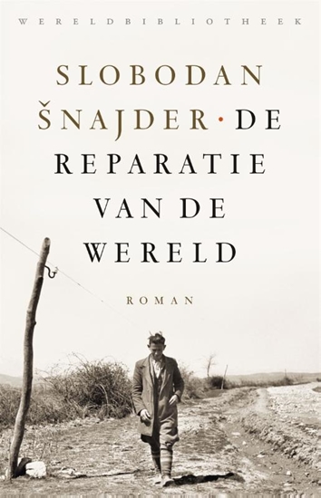 Afbeelding van De reparatie van de wereld