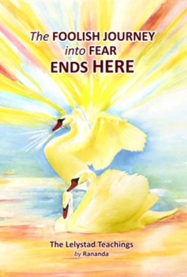 Afbeelding van The Foolish Journey into Fear Ends Here