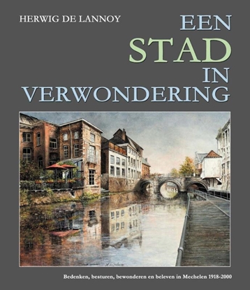 Afbeeldingen van Een stad in verwondering