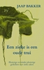 Afbeelding van Een zieke is een oude trui