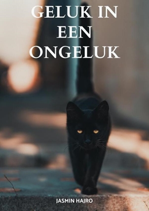Afbeeldingen van Geluk in een ongeluk
