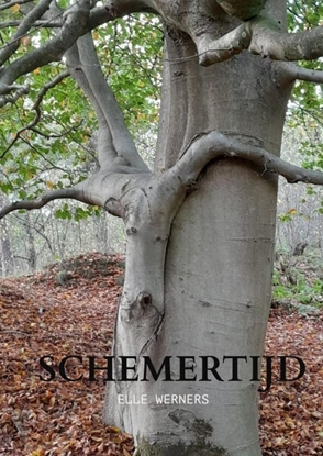 Afbeeldingen van SCHEMERTIJD