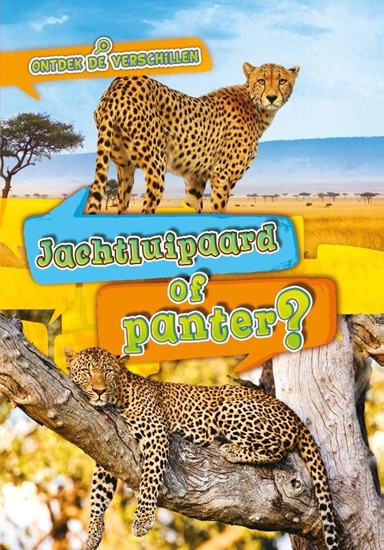 Afbeelding van Ontdek de verschillen Jachtluipaard of panter?