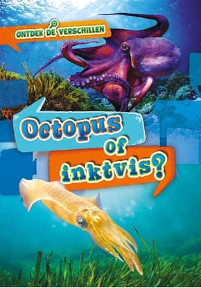 Afbeeldingen van Ontdek de verschillen Octopus of inktvis?
