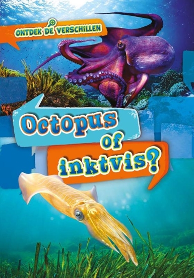 Afbeelding van Ontdek de verschillen Octopus of inktvis?