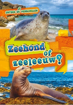 Afbeeldingen van Ontdek de verschillen Zeehond of zeeleeuw?