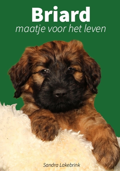 Afbeelding van Briard