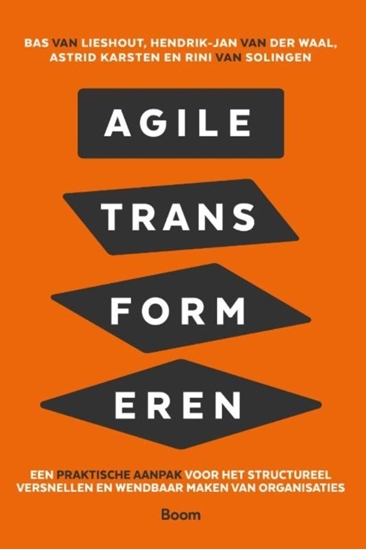 Afbeelding van Agile transformeren
