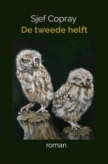 Afbeelding van De tweede helft