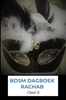 Afbeelding van BDSM dagboek rachab deel 6