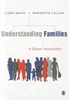 Afbeelding van Understanding Families