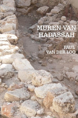Afbeeldingen van Muren van Hadassah