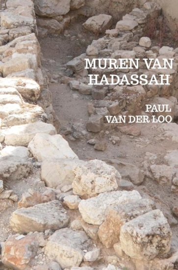 Afbeelding van Muren van Hadassah