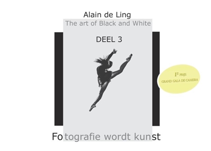Afbeeldingen van The Art of Black and White 3