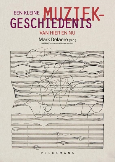 Afbeelding van Een kleine muziekgeschiedenis van hier en nu