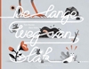 Afbeelding van De lange weg van Slak