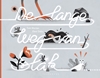 Afbeelding van De lange weg van Slak