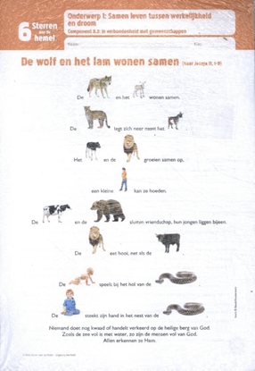 Afbeeldingen van Sterren aan de hemel - set van 10 6de leerjaar Leerlingenbundels