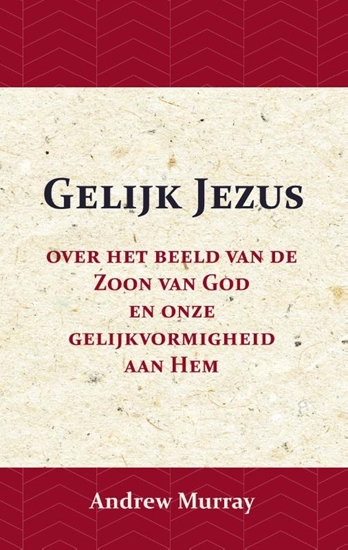 Afbeelding van Gelijk Jezus