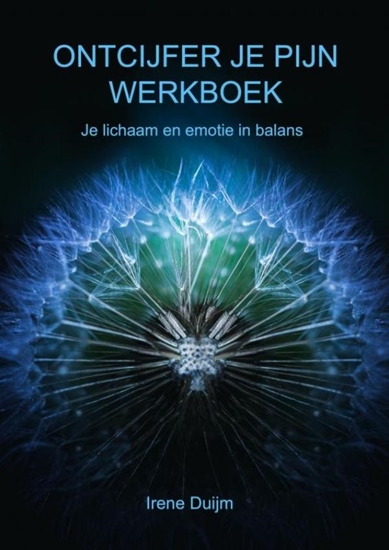 Afbeelding van Ontcijfer je Pijn Werkboek
