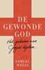 Afbeelding van De gewonde God