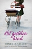 Afbeelding van Het gestolen kind