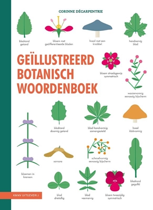 Afbeeldingen van Geïllustreerd botanisch woordenboek