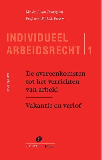 Afbeelding van Individueel Arbeidsrecht De overeenkomsten tot het verrichten van arbeid