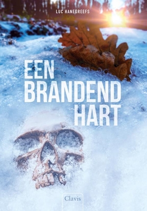 Afbeeldingen van Een brandend hart