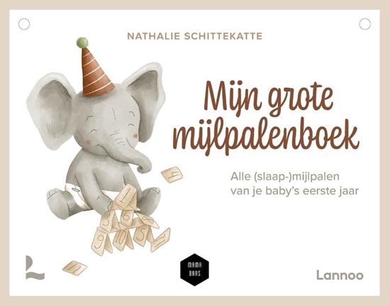 Afbeelding van Mijn grote mijlpalenboek