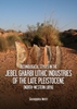 Afbeelding van Technological Styles in the Jebel Gharbi Lithic Industries of the Late Pleistocene (North-Western Libya)
