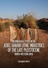 Afbeelding van Technological Styles in the Jebel Gharbi Lithic Industries of the Late Pleistocene (North-Western Libya)