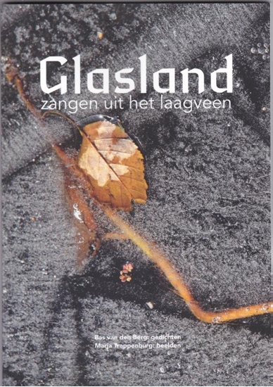 Afbeelding van Collectief Raaf Glasland
