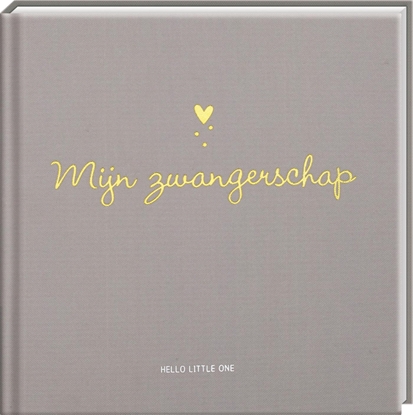 Afbeeldingen van Baby invulboeken - Mijn zwangerschap